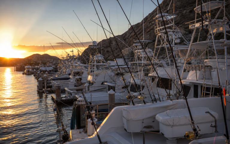 Lanchas de pesca deportiva en la marina de Cabo San Lucas al amanecer